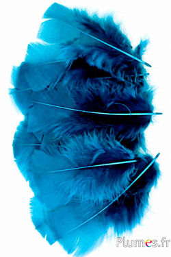 Pute - 6-8 cm - petrol